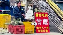 盘点生活中的搞笑日常
