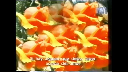 MTV DisMissed | Chris, Bonnie & Jennifer / Season 2