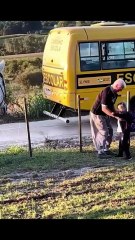 I didn't find horses interesting until this moment...