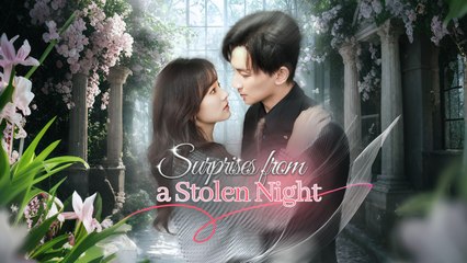 Surprises From A Stolen Night 📺Short Drama FULL | English Sub
