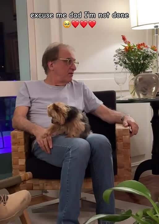 Man Stops Petting Dog, so She Nudges His Hand to Show She's Not Satisfied Yet