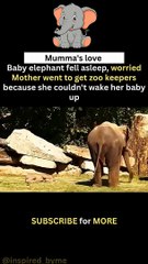 Baby Elephant Won’t Wake Up—Mom Calls for Backup! 💤🐘