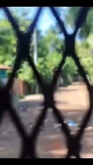 Captan pelea en calle de Honduras