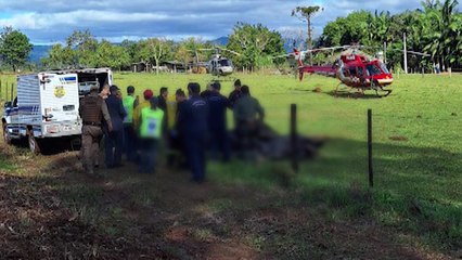 브라질에서 열기구 화재로 추락..."최소 8명 숨져" / YTN