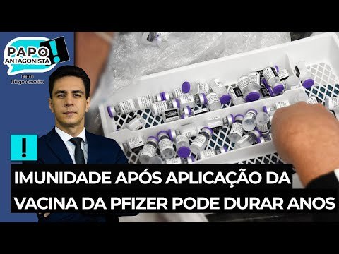 Imunidade após aplicação da vacina da Pfizer pode durar anos