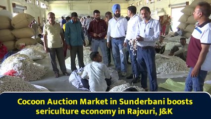 Cocoon Auction Market in Sunderbani boosts sericulture economy in Rajouri, J&K
