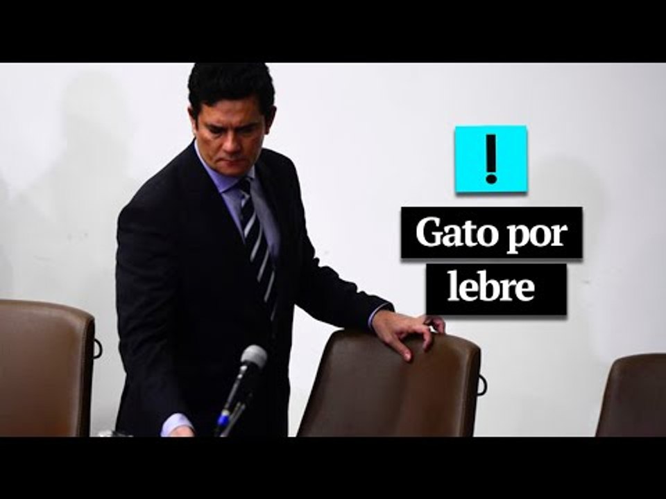 Gato por lebre
