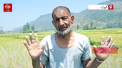 شمالی کشمیر میں کھیت پیاسے، کسان پریشان!