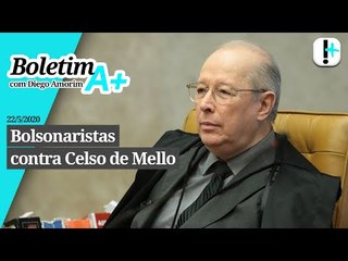 Boletim A+: Bolsonaristas contra Celso de Mello