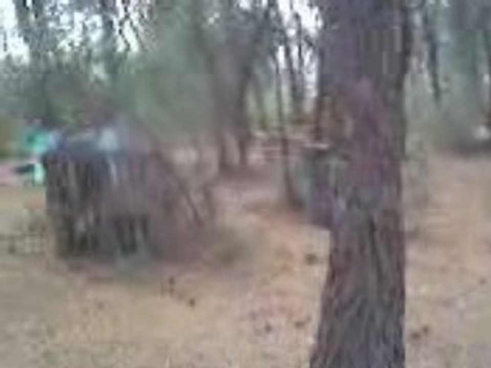 Paintball
