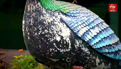 पौने 7 करोड़ के हिमालयन कल्चरल सेंटर में अव्यवस्था, मेंटेनेंस पर हर साल ₹2.5 करोड़ खर्च, 4 साल में कमाए 97 लाख