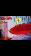 Tom and jerry duo of destruction Part 02