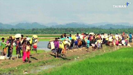 NGOs and Officials Call for Dedicated Law on World Refugee Day