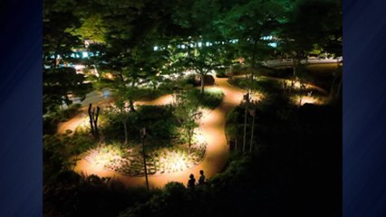 [서울] 서울시, 여름밤 무더위에 보라매공원 '쉼터' 운영 / YTN