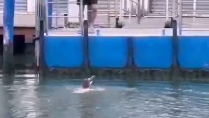 Venezia, tuffo in Canal Grande all’alba: giovane rischia di venire colpito da una barca