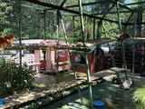 La SPA submergée par les abandons d’animaux à l’approche de l’été - Reportage TL7 - TL7, Télévision loire 7