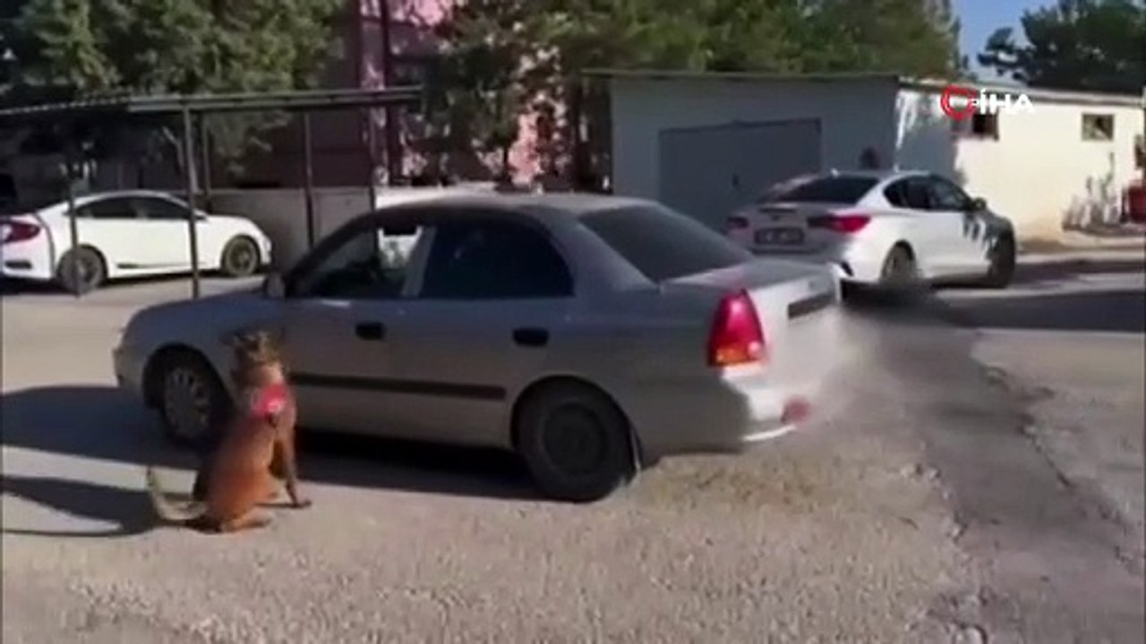 Ekmeğin içinden çıkan şoke etti