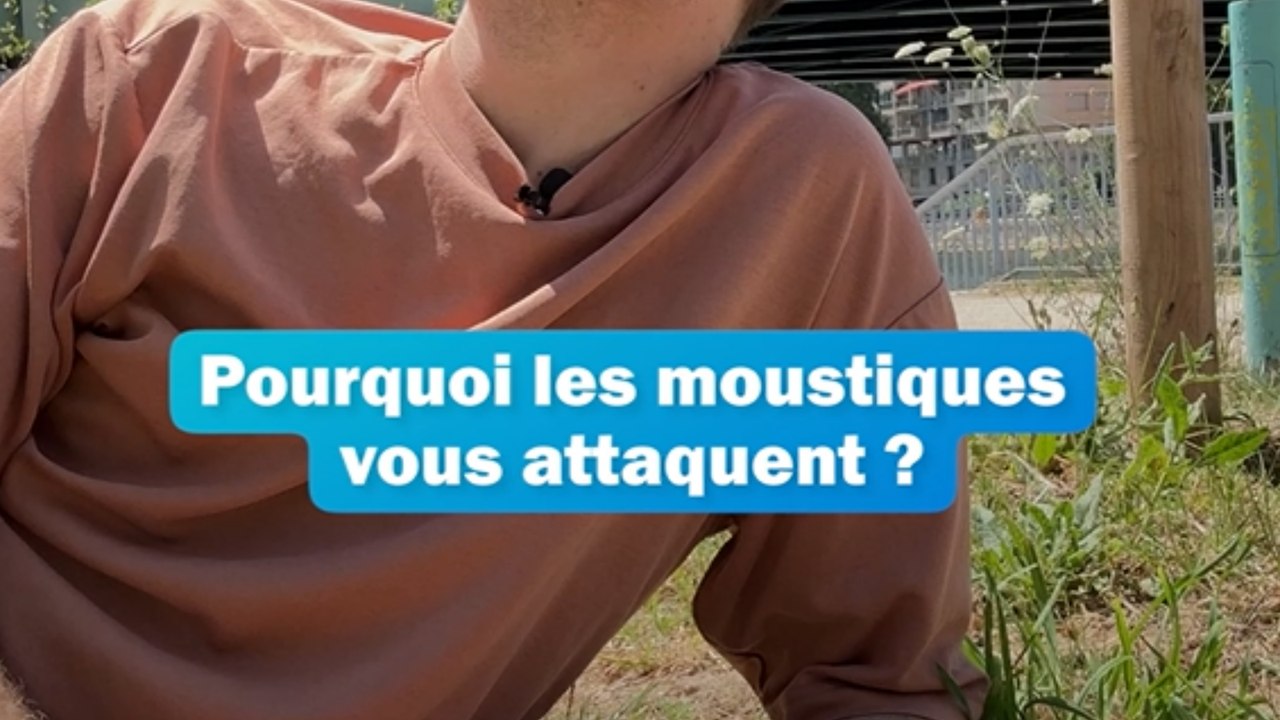 Moustiques  : pourquoi certaines personnes se font-elles plus piquer que d'autres ?