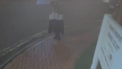 Woman films for fun but accidentally captures bird poop hitting her face