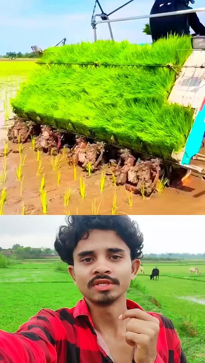 💞🤯😱🤮....   #facebookviral #technology #viral #Amazing #reels #viral #viralreels #tranding #fbreels #motivational #motivationalquotes #postviralシ #fypシ゚viralシ #fypシ゚viralシfypシ゚viralシalシ  #ChallengeAccepted #challenge