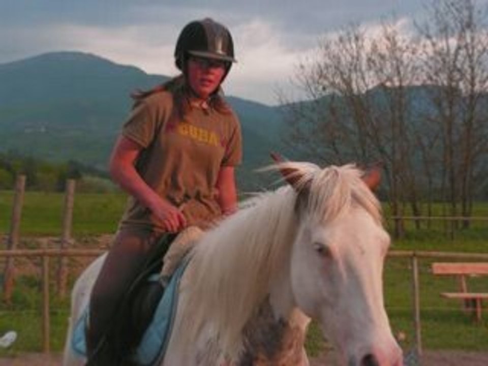 Nos dernieres seances