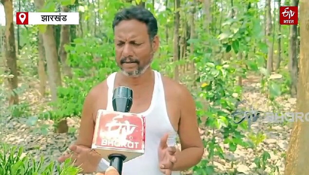 ओल की खेती से मालामाल किसान, चार गुनी हुई आमदनी