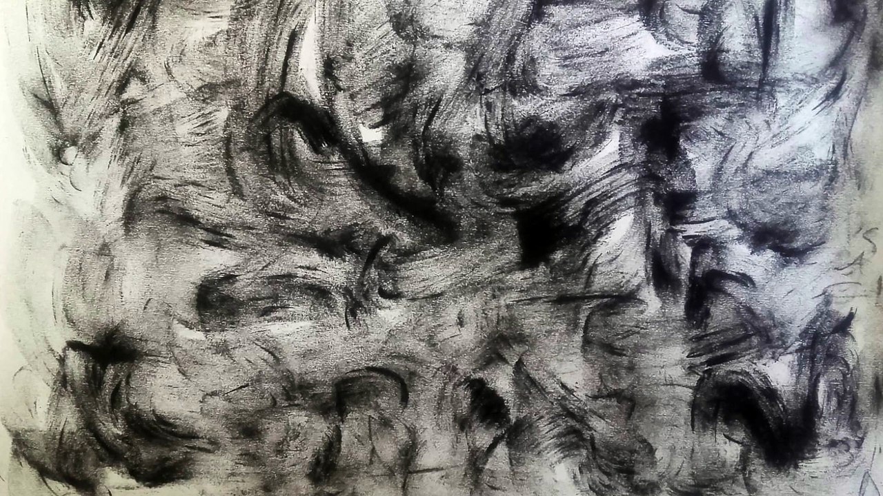IN  INDIVIDUATION  #5