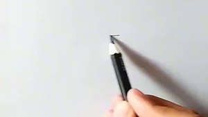 Wonderfull talent