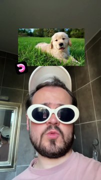 C'est quoi ta dernière recherche YouTube mdr ?