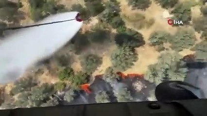 Ayvalık’ta Zeytinlik Alanda Yangın Alarmı!