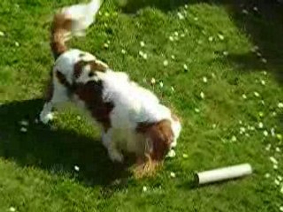 ALTO et le rouleau de papier