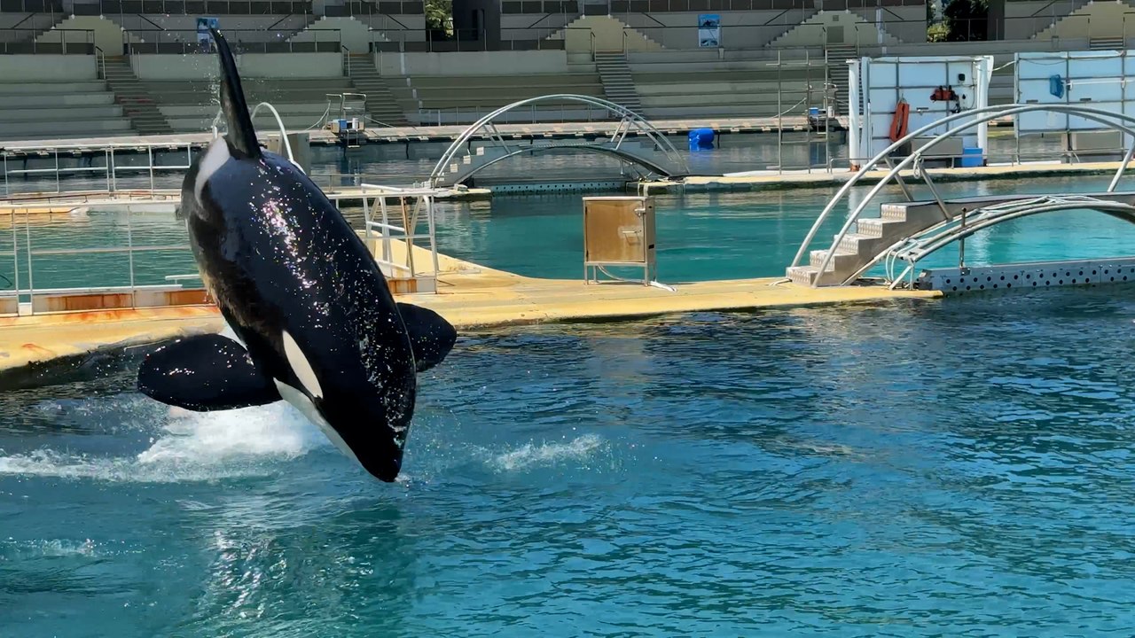 Marineland, parc « fantôme » d’Antibes, nous a ouvert ses portes