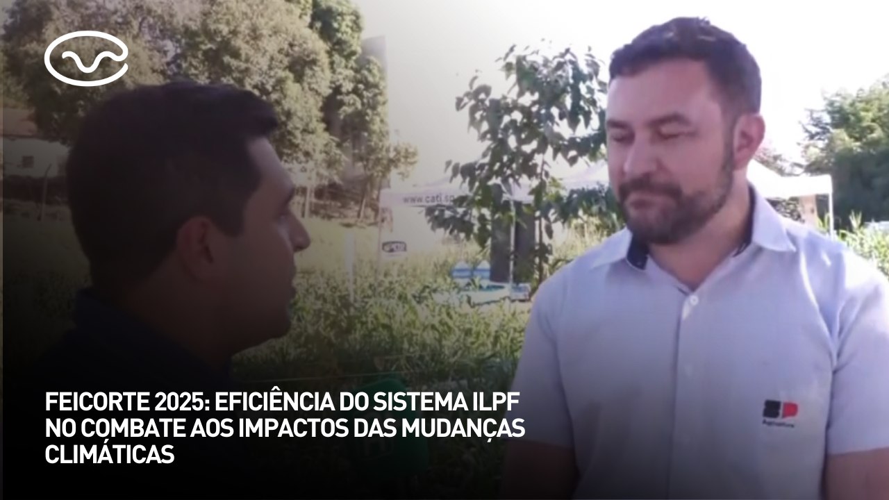 Feicorte 2025: eficiência do sistema ILPF no co...
