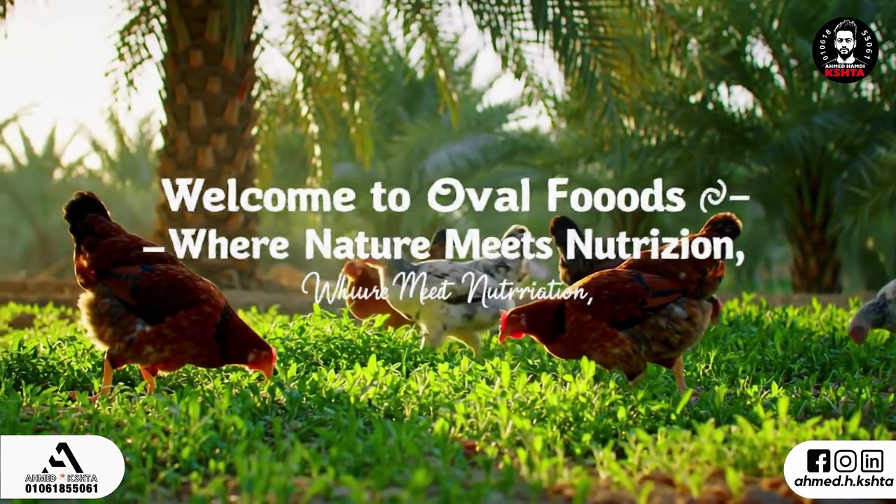 Oval Foods