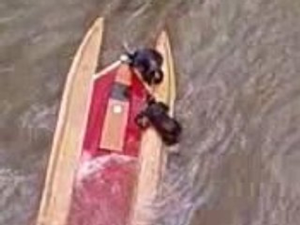 24h motonautiques de rouen 30 avril 2008 18H03