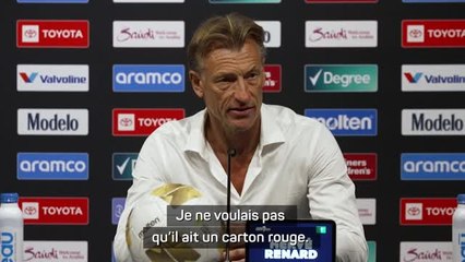 Arabie Saoudite - Renard : "Les raisons, vous les connaissez..."