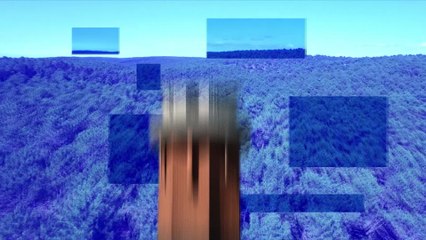 Cette semaine dans le Grand J.T. des Territoires de Cyril Viguier sur TV5 Monde