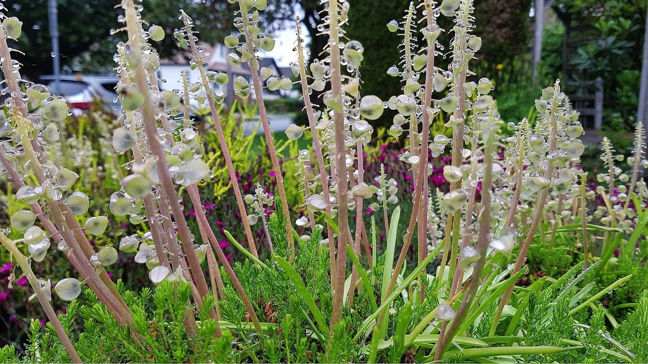 Beautiful Nature │Romantic Music│Save the Planet│Beautiful Landscapes │Nature│Sunsets│Natural Beauty│Attractive Ambience│Save Nature│Lovely Water Streams│Waterfalls│Mountains│Lakes│