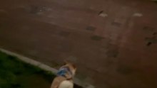 Joy going to the park 조이 공원 가다