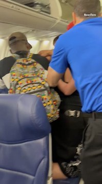 Plane Passenger Goes Viral for Video Showing Her Pulling Hair, Spitting on Fellow Flyer Over Seat Dispute