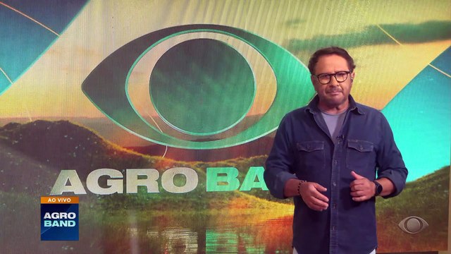 Brasil deve retomar exportações de carne de frango nos próximos dias