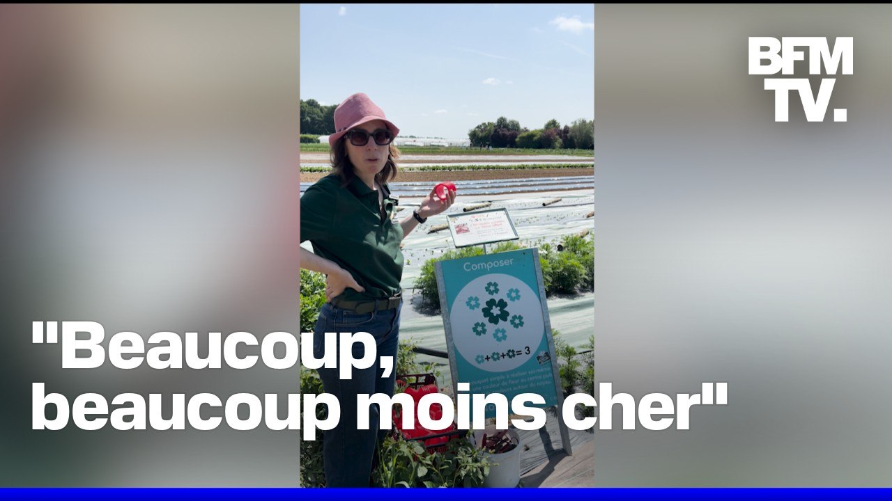 Cueillir soi-même ses fruits et légumes: un bon plan économique et sain