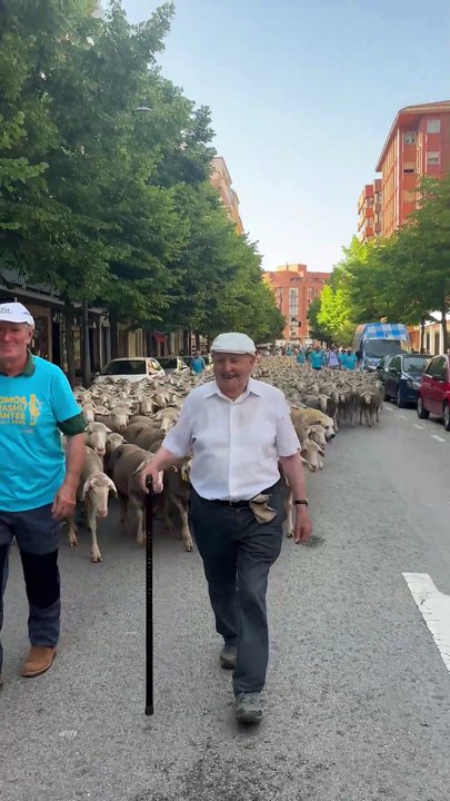 El "histórico" trashumante de Soria de 98 años