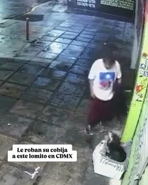 #Viral - Le roban su cobija a este lomito 😪🐶A través de redes sociales se hizo viral esta imagen, donde una persona le robó su cobijita a este lomito qué estaba usándola cómodamente en una de las calles de la alcaldía #