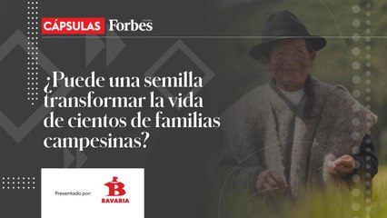 Bavaria busca 1.000 agricultores para transformar el agro con su programa Siembra Bavaria