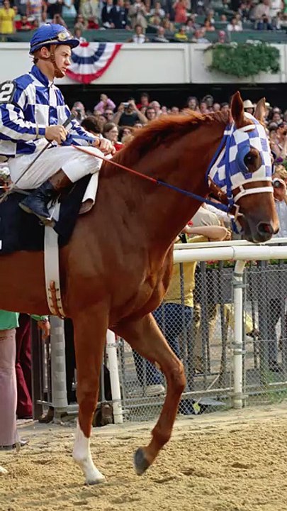 Secrétariat, le cheval le plus rapide l'histoire