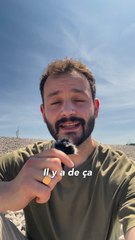 Trois films pour en savoir plus sur le débarquement en Normandie !