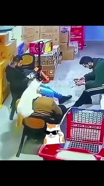 Funny video