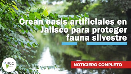 Crean oasis artificiales en Jalisco para proteger fauna silvestre | 771 | 23 al 29 de junio de 2025