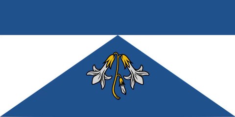 Flag of Adazi Municipality. Bendera Munisipalitas Adazi. Adazi Municipality Flag. Flag of Municipality of Adazi. Municipality of Adazi Flag. Ādažu novada karogs. Bandeira do Município de Adazi. Drapeau de la municipalité d'Adazi. アダジ市の旗. 阿達日市鎮旗幟.